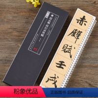 [正版]共2本赵孟頫前后赤壁赋临读对照版名家碑帖近距离临摹卡米字格单字放大全文简体旁注赵体行书毛笔书法字帖