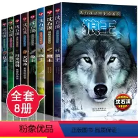 沈石溪动物小说鉴赏 全8册 [正版]沈石溪动物小说全集全套 狼王梦沈石溪后一头战象 全本画本图书 小学生三四五年级必读的