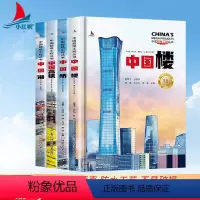[全套4册]中国超级工程丛书 [正版]中国超级工程丛书中国港青少年建筑科普儿童百科全书大百科绘本小学生课外阅读书籍楼桥高