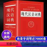 [正版]现代汉语成语词典2021新编中小学生多功能工具书大全全新版字典汉语词典高中生初中生中国现代汉语词典成语大词典成