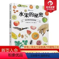 [正版] 水果的秘密 盛口满的手绘自然图鉴 日本童书研究会儿童插图科普百科绘本书籍