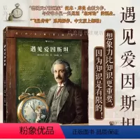 传奇小鼠冒险系列:遇见爱因斯坦 [正版]浪花朵朵 传奇小鼠冒险系列 遇见爱因斯坦 飞鼠传奇 7-10岁 托本库曼全新