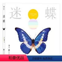 [正版] 迷蝶 艺术摄影集图册 昆虫动物 微距照片 特惠