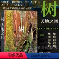 [正版] 树 天地之间 传奇摄影师阿特沃尔夫 近300张照片呈现树之星球 自然风光摄影艺术收藏画册