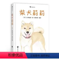 [正版]感恩 柴犬莉莉 灾后忠狗忍饥挨饿苦寻主人 爱与忠诚的故事 儿童动物主题桥梁书