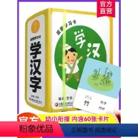 学汉字 [正版]皮筋学习卡 学汉字 0-3-6岁儿童启蒙认知学习彩图拼音识字认字汉字趣味卡片 幼小衔接 学前教育 内含6