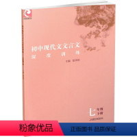 初中现代文文言文深度训练7年级下 七年级下 [正版]2023春 初中现代文文言文深度训练 通用本 七年级下册 7下 初中