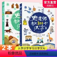 史老师教300个汉字上下两本装 [正版]史老师教300个汉字 上下两本套装 触摸汉字温度爱上汉字 幼小衔接学汉字的故事