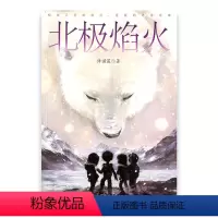 [正版]北极焰火 许诺晨 着 中国当代儿童文学 中小学生青少年儿童读物 江苏凤凰教育出版社