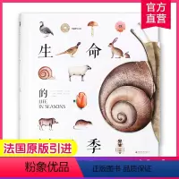 纸狐狸绘本馆 生命的四季 [正版]0-3-6岁儿童启蒙认知绘本 生命的四季 纸狐狸绘本馆 儿童故事图画故事 少儿绘本 纸