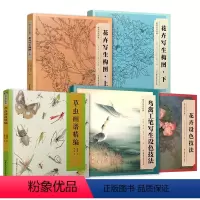 [正版]美术技法经典套装5本 草虫画谱、花卉设色、鸟禽工笔写生设色、花卉写生构图上下 绘画教程国画教程绘画技法水墨画工