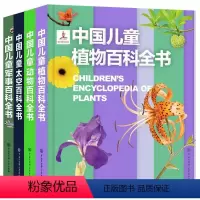 百科系列全套4册 [正版]精装 中国儿童军事百科全书太空植物动物 世界枪械战争武器科普绘本3-6-9-12岁军事知识大百