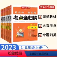 [语文]考点全归纳 一年级上 [正版]2024新版小学考点全归纳语文一2二2三3四4五5六6年级上册人教版同步练习册阅读