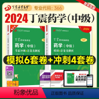 [正版]丁震医学2024新版主管药师考前冲刺4套卷模拟6套卷全套药学中级卫生资格考试历年真题模拟试卷同步练习题药学考试