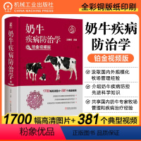 [正版]奶牛疾病防治学 铂金视频版 王春璈 分娩 接产规程 犊牛饲养管理 免疫球蛋白测定 修蹄 体况评分 驱虫 繁育