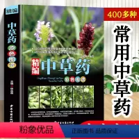 [正版]精编中国药典中药原色图谱 中草药图鉴图谱 中国药材图鉴 中医学书籍中药材大全 300余种常用中草药识别应用原色