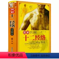 [正版]图解十二经络对症养生(精装)全彩图解人体全身12经络穴位传统辽法养生大全书籍新手学中医经脉入门零基础理论知识