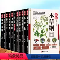 [正版]全套11本中医书籍大全本草纲目李时珍彩色图案全集黄帝内经伤寒论张仲景金匮要略千金方温病条辨神农本草经偏方验方中