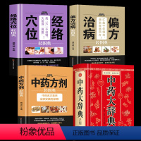 [正版]4册 中药大辞典+经络穴位+ 治病偏方+中药方剂轻图典 中药书籍大全中药字典药方大全临床用药手册书籍