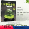 [正版]苔藓生态瓶 教你打造迷你玻璃微景观花园制作花卉DIY盆栽缸种植物技巧教程与养护图鉴多肉花艺园艺创意设计图谱多肉