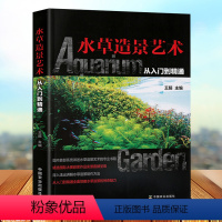 [正版]水草造景艺术 从入门到精通王超 鱼缸造景书籍水族箱书籍水草布景书籍 养水草的书籍 水族馆装饰书籍 水族馆造景方