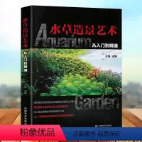 [正版]水草造景艺术 从入门到精通王超 鱼缸造景书籍水族箱书籍水草布景书籍 养水草的书籍 水族馆装饰书籍 水族馆造景方