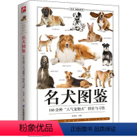 [正版]名犬图鉴 宠物犬特征与习性大全 宠物狗喂养常识饮食护理 爱犬人士应用手册 宠物犬科普知识百科全书 家庭亲子科普