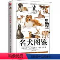 [正版]名犬图鉴 宠物犬特征与习性大全 宠物狗喂养常识饮食护理 爱犬人士应用手册 宠物犬科普知识百科全书 家庭亲子科普