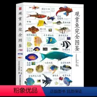 [正版] 图解观赏鱼完全图鉴大全 观赏鱼鉴赏与饲养 选鱼饲养与鉴赏图典海底生物彩色图鉴书籍 红小丑狮子鱼辨别与饲养观赏