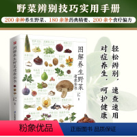 [正版]图解养生野菜速查全书 野菜别名分布形态特征食用方法药用功效 认识采摘野菜指南 野菜植物知识科普百科大全书籍读物