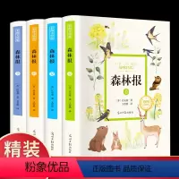 森林报 彩图美绘版 全4册(春+夏+秋+冬) [正版]森林报 彩图美绘版 春夏秋冬 全套4册 8-15岁少儿童文学经典科