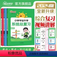 [系统总复习共3本]语文+数学+英语 全国版 小学升初中 [正版]2024春小学毕业升学升初一系统总复习语文数学英语科学