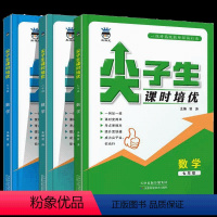 [数学]尖子生课时培优 七年级/初中一年级 [正版]2024奥赛王尖子生课时培优 数学七年级八年级九年级数学培优训练初中