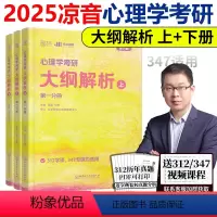 2025心理学大纲解析上册+下册 [正版]新版 众学简快2025凉音考研专业课心理学大纲解析25 上册下册第四版 心理