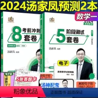 ]2024汤家凤8套+5套数学一 [正版] 2024考研数学汤家凤8套卷 数学一二三 考研数学考场后八套题 后八