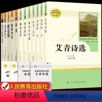 [人教版12册]九年级上下册必读 [正版]艾青诗选和水浒传 原著完整版人民教育出版社九年级阅读名著人教版初中生全套配套