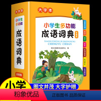 [正版]2022年成语词典小学生多功能大全中华成语大全词语字典带解释四字彩图彩色版中华现代汉语词语中小学字典大字典书