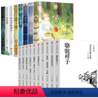 [全18册]纽伯瑞+老舍经典全集 [正版]纽伯瑞国际儿童文学金奖小说系列全套8册 中小学生老师三四五六年级阅读的课外书籍