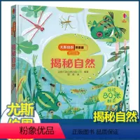 尤斯伯恩揭秘低幼版 揭秘自然 [正版]尤斯伯恩揭秘系列儿童翻翻书低幼版揭秘自然幼儿园认知小百科全书撕不烂宝宝绘本婴儿启蒙