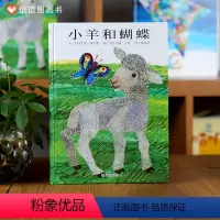 《逛商店街》体验大世界 赠指导手册 [正版]信谊绘本 小羊和蝴蝶 精装硬壳绘本 信谊世界精选图画书 少儿幼儿童绘本图书3