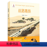 丝路高铁 [正版]全3册给中国孩子的火车知识绘本 中国桥中国高铁动车的故事青少年故事书籍6-9-12周岁儿童科普百科书小