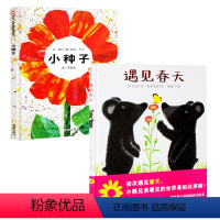 [正版]春天精装绘本 小种子+遇见春天 信谊蒲蒲兰图画书 好饿的毛毛虫作者艾瑞卡尔儿童0-2-3-6岁幼儿园小班一年级