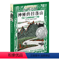 [正版]长青藤国际大奖小说书系第七辑-神秘的日落山 儿童文学故事书9-12-15岁四五六年级中小学生课外书籍必青少年阅