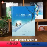 [正版]凯迪克金奖月下看猫头鹰 信谊精装绘本3-6-8岁幼儿亲子阅读情商绘本读物故事图画书籍亲子共读睡前读物图书本书目