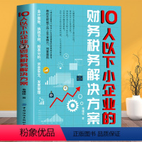 [正版]10人以下小企业的财务税务解决方案 零基础管理者中小企业财税知识普及书管理人员解决方案团队高效管理方法财报分析