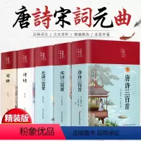 [正版]布面精装完整版 中国古诗词全集 唐诗三百首全集 宋词300首元曲诗经楚辞原著完整版鉴赏辞典初高中学生唐诗宋词注