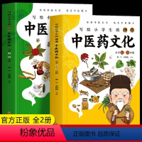 [正版]2册 写给小学生的神奇中医药文化 小学1-6年级课外书 儿童中医医学启蒙书 中草药功效医学知识普及中医基础理论