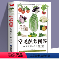 [正版]常见蔬菜图鉴五谷杂粮营养介绍饮食功效解读 食材选购指南美食烹饪菜谱 食物营养搭配饮食宜忌大全书饮食功效解读食材