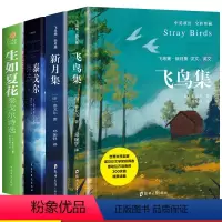 全套4册 [正版]全套4册 新月集飞鸟集泰戈尔诗选生如夏花原著中英对照双语读物中小学生九年级散文诗选中外世界名著泰戈尔诗