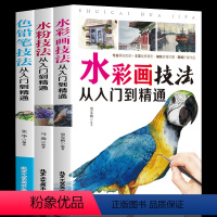 [正版]全三册 水彩画技法从入门到精通+水粉技巧从入门到精通+色铅笔技法从入门到精选 自学零基础书籍书速写书书水粉